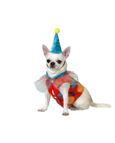 Kostyle for Dogs Size L: Whimsical Clown Costume for Parties and Carnival

